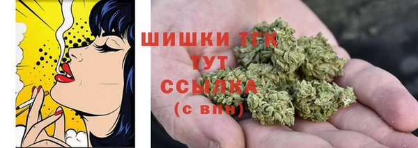гидра Корсаков
