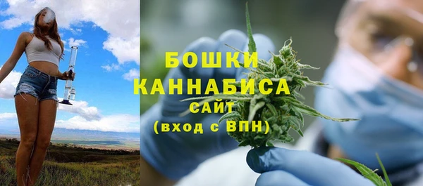 гидра Корсаков