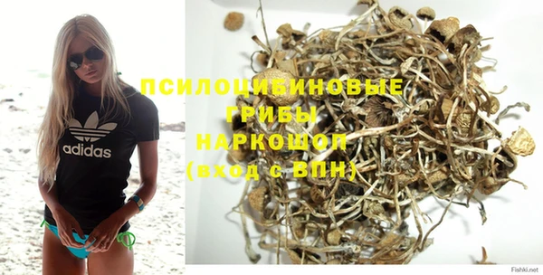 гидра Корсаков