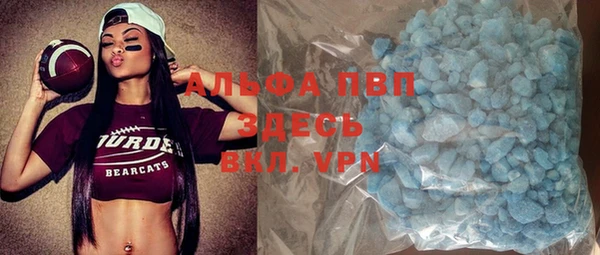 гидра Корсаков