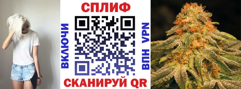 Бошки Шишки OG Kush  как найти закладки  Усть-Джегута 